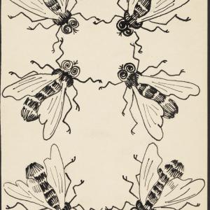 „Plagi pod ziemią: wreszcie potworne muchy”
z cyklu „Bunkier”