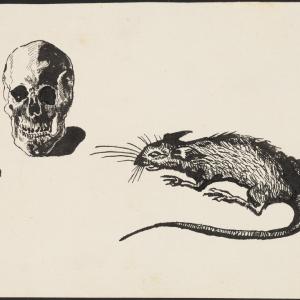 „Tu pod ziemią czas pracuje dla śmierci i szczurów”
z cyklu „Bunkier”